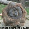 OBIAD U BABCI