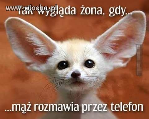 Samo życie