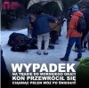 Na Martyniuka i Fonsiego