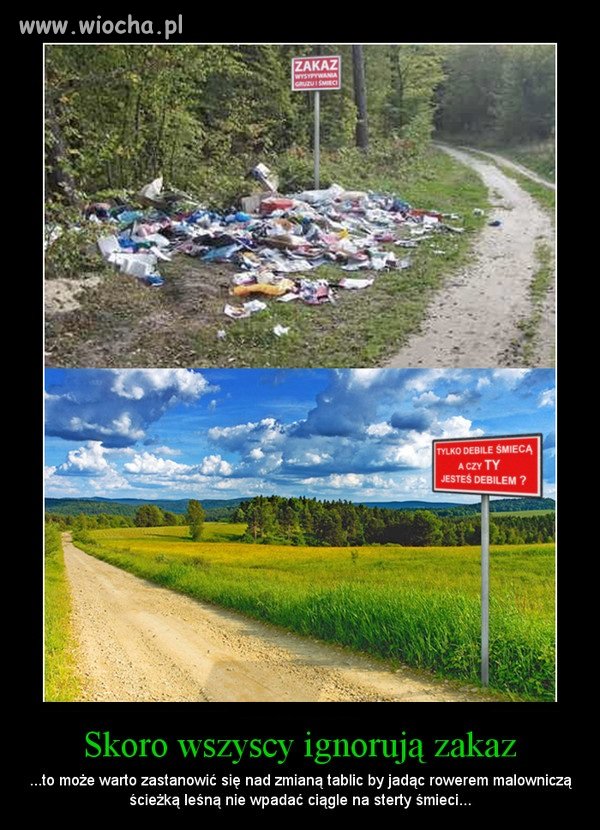 Skoro wszyscy ignorują zakaz