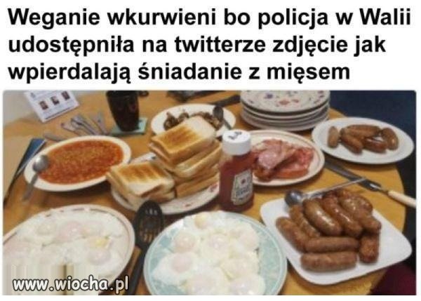 Brutalność policji
