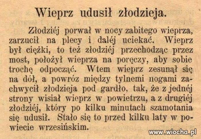 Zemsta z zaświatów
