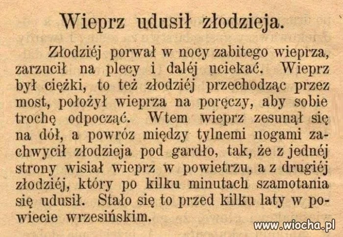 Zemsta z zaświatów