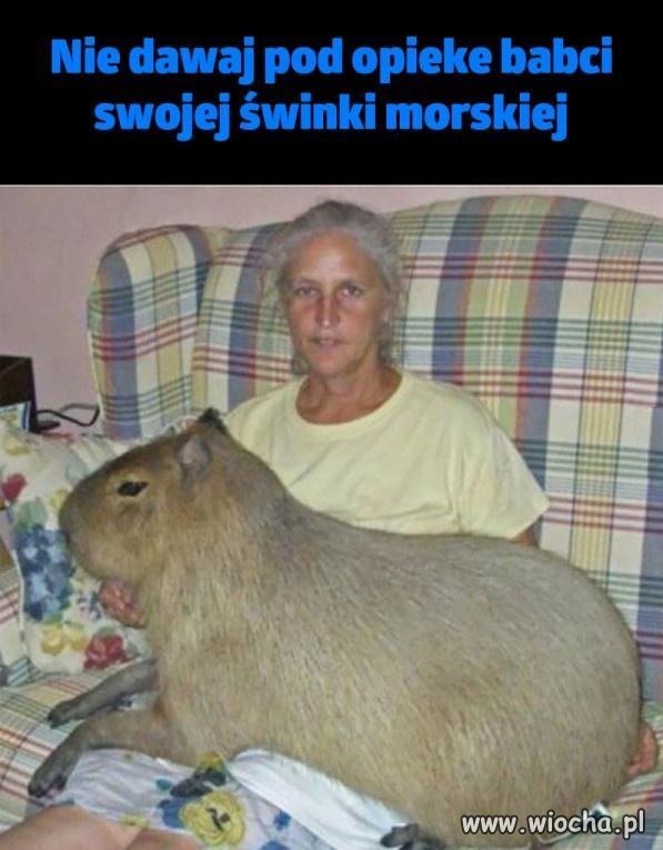 I gdzie ja to będę trzymać