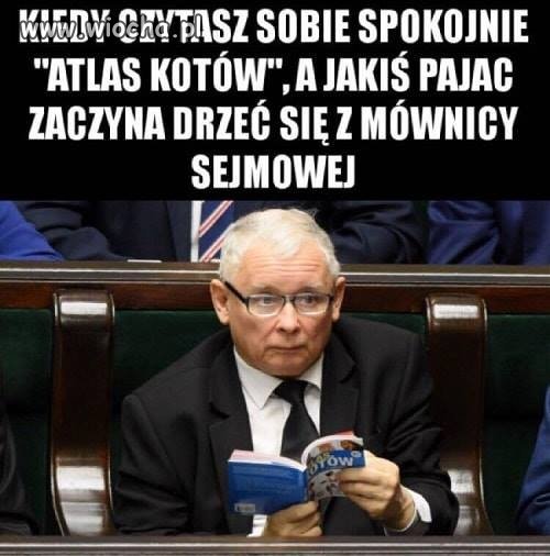 Ciężko pracujący polityk