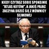 Ciężko pracujący polityk