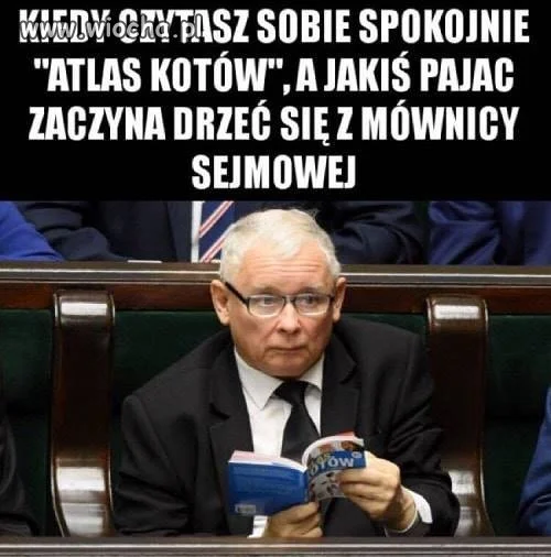 Ciężko pracujący polityk