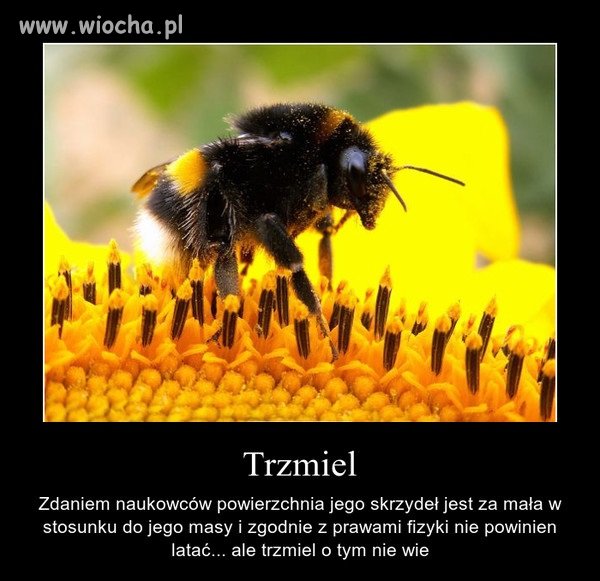 Bo grunt to nie patrzeć na zdanie innych