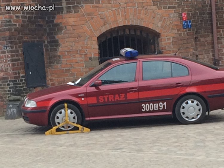 Strażnik strażakowi wilkiem
