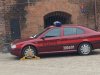 Strażnik strażakowi wilkiem