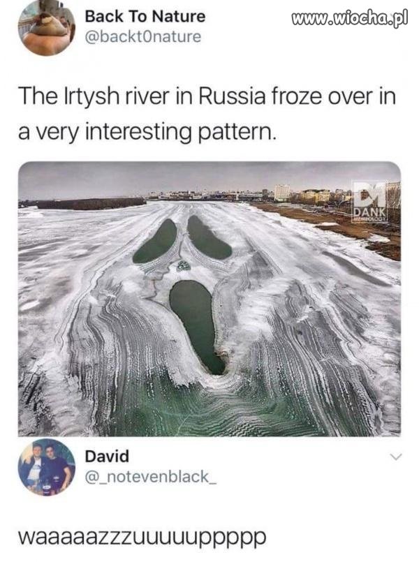 łazaaa