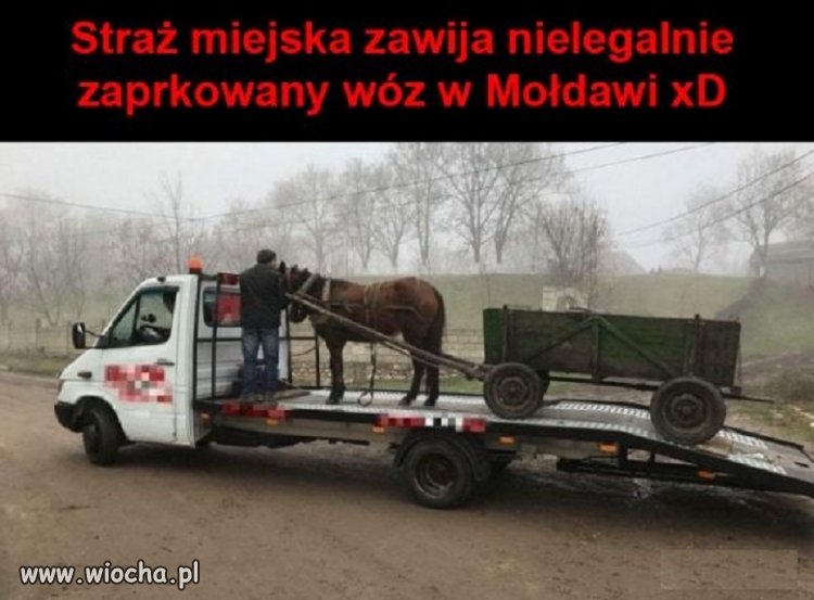 Zakaz parkowania