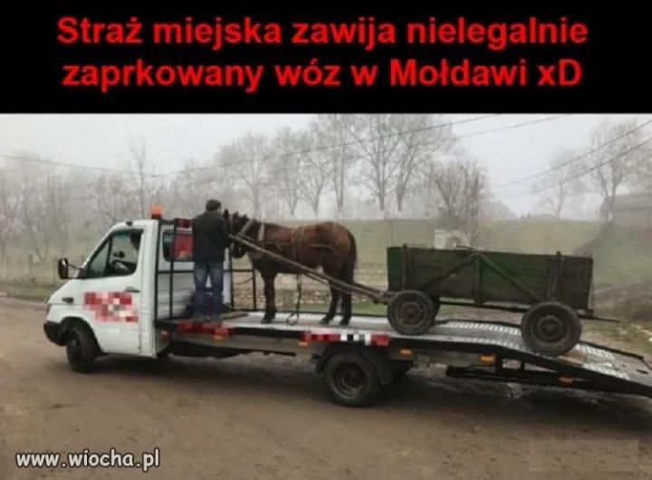 Zakaz parkowania