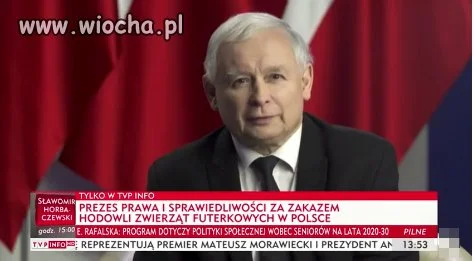 Czy aby tak prezes myśli naprawdę