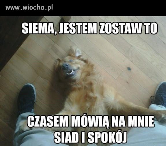 Hej, to ja!