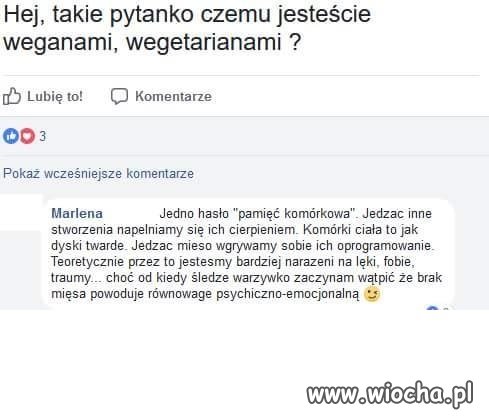Jak tam wasze komórkowe dyski twarde