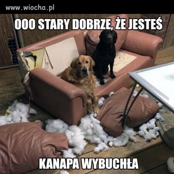 Nie uwierzysz