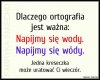 Ortografia