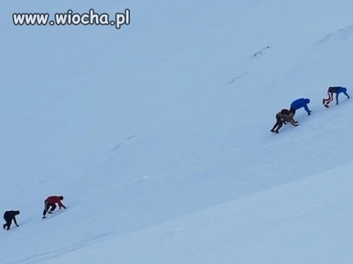 Grupa Januszy i Sebiksów w adidasach zdobywa góry