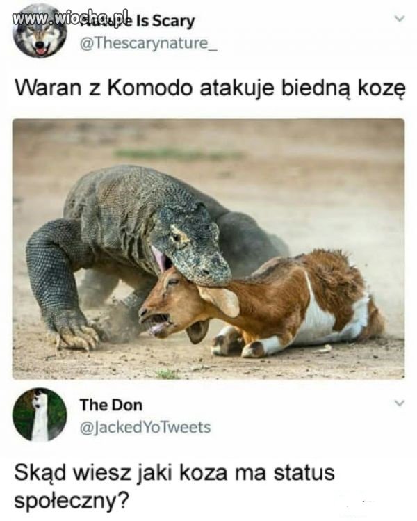 Dobre pytanie.
