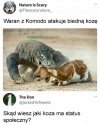 Dobre pytanie.