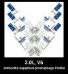 Polska jednostka