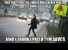 Piesi