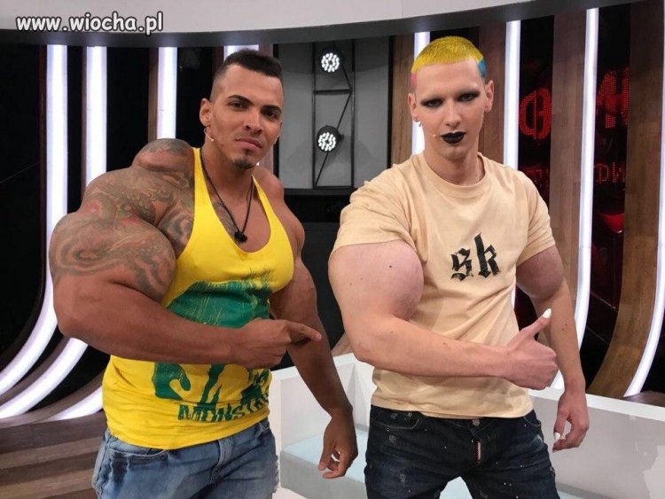 Syntholowe matoły