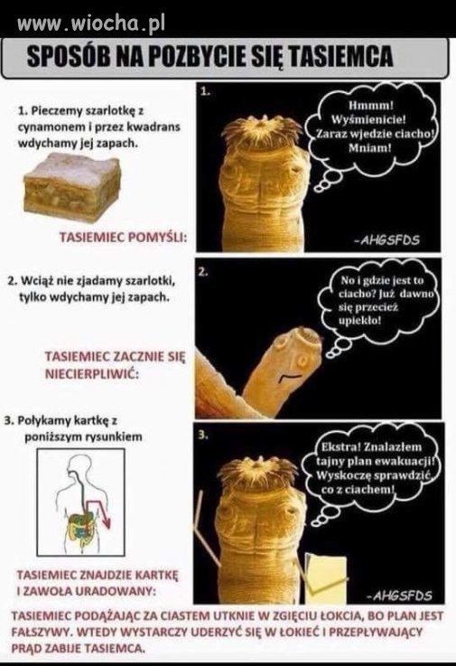 Nie musisz dziękować
