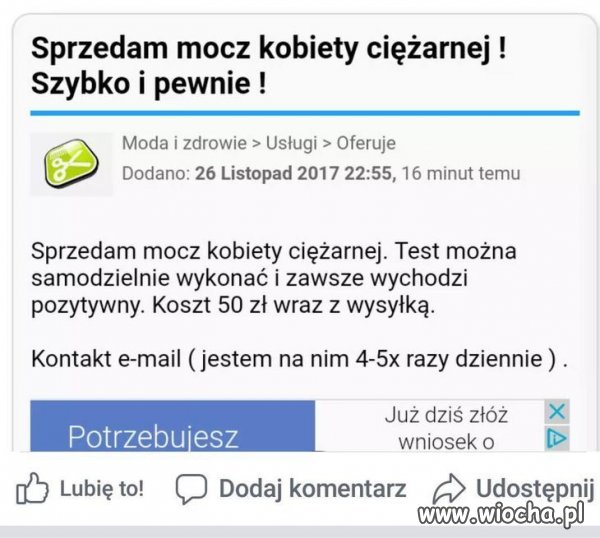 Janusze biznesu