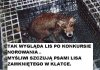 Nie wiem co
