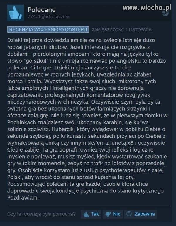 Dobra recenzja