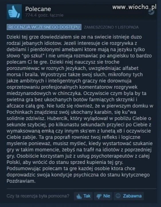 Dobra recenzja