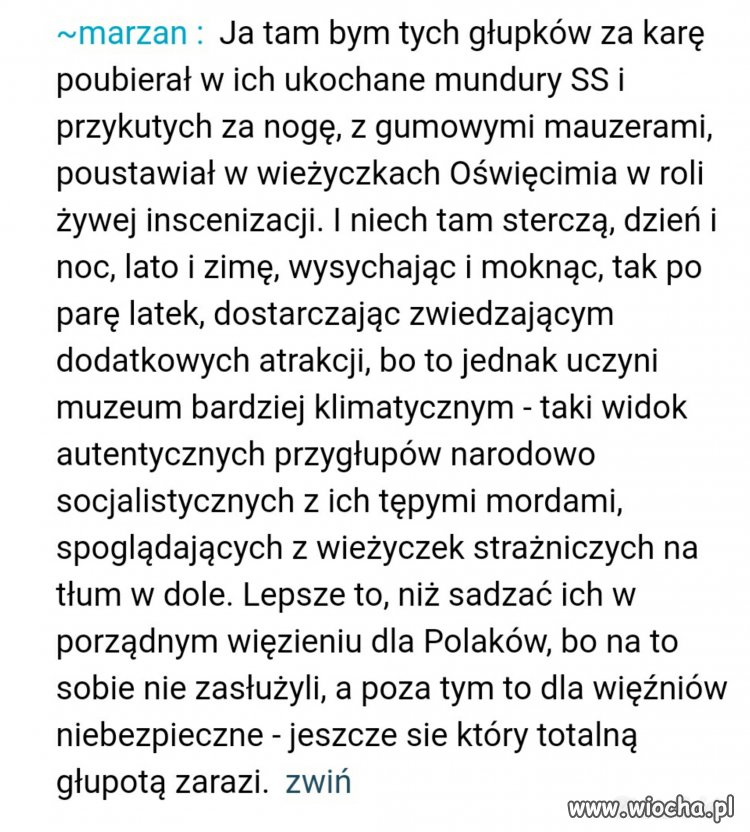 Komentarz dotyczący "polskich nazistów"