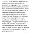 Komentarz dotyczący "polskich nazistów"