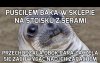 Puściłem bąka