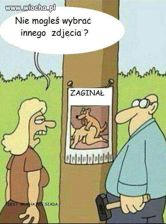 Zaginął