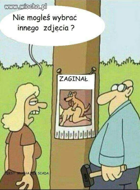 Zaginął
