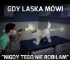 Gdy laska mówi
