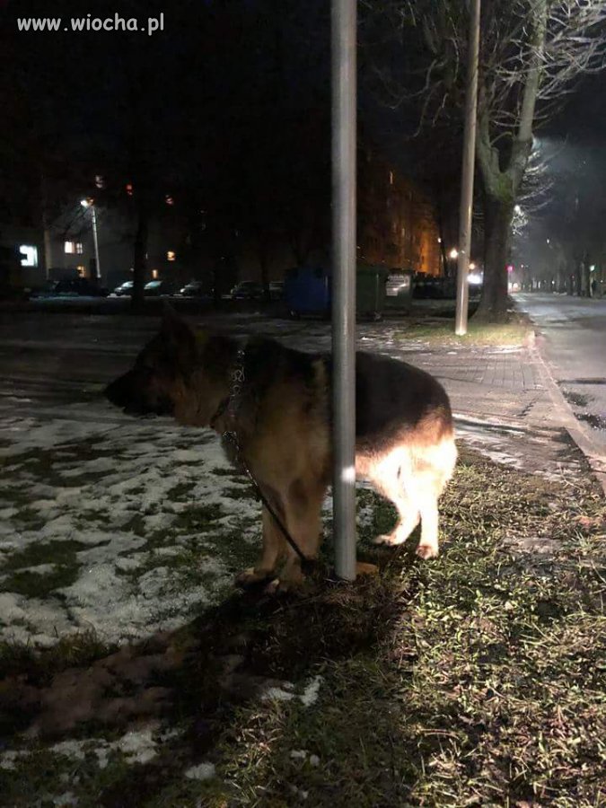 1°C to nie mróz ale nadal zimno 
