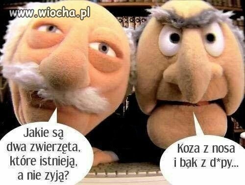 Tylko dwa zwierzęta? 
