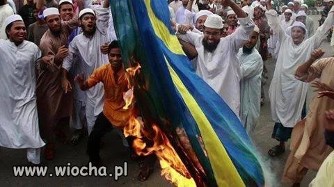 Dziwni Ci Szwedzi... Dlaczego palą swoją flagę? 