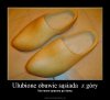 Ulubione obuwie sąsiada 
