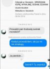 Świnki morskie