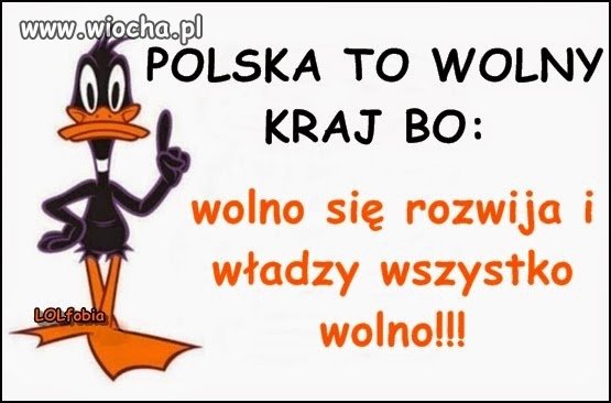 Z cyklu PiS u władzy 