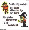 Życie jak w bajce