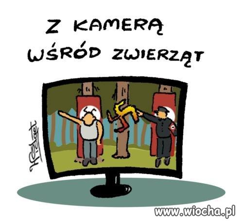 Bez komentarza