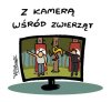 Bez komentarza