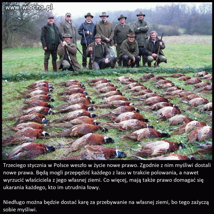 Frajerzy z małymi siuśkami