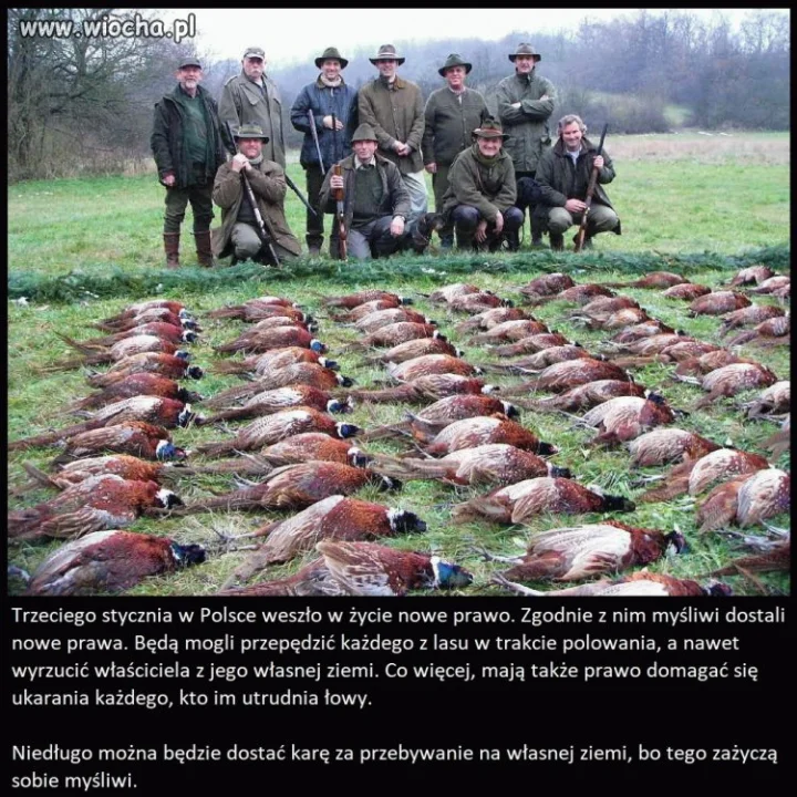 Frajerzy z małymi siuśkami